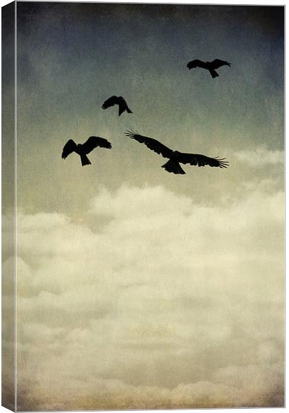 where eagles fly Canvas Print by Heather Newton