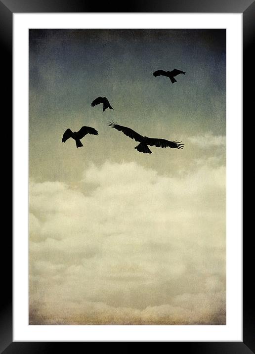 where eagles fly Framed Mounted Print by Heather Newton