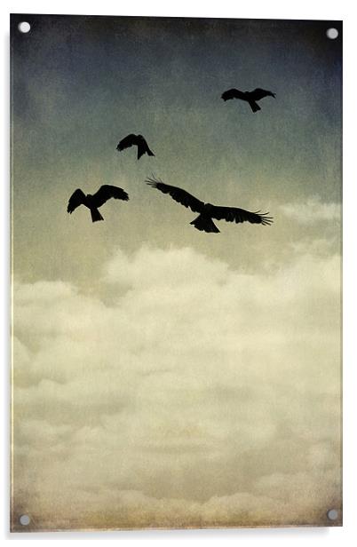 where eagles fly Acrylic by Heather Newton