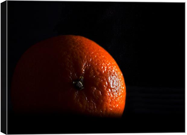 Orange in shadow Canvas Print by Peter Elliott 