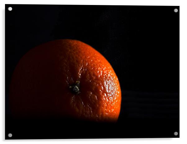 Orange in shadow Acrylic by Peter Elliott 