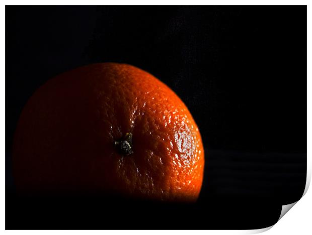 Orange in shadow Print by Peter Elliott 