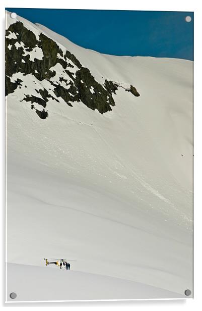 Fox Glacier, New Zealand Acrylic by Mark Llewellyn