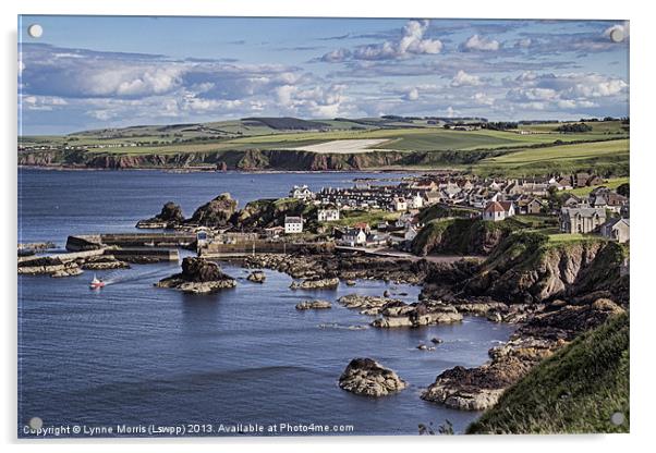 St Abbs Acrylic by Lynne Morris (Lswpp)