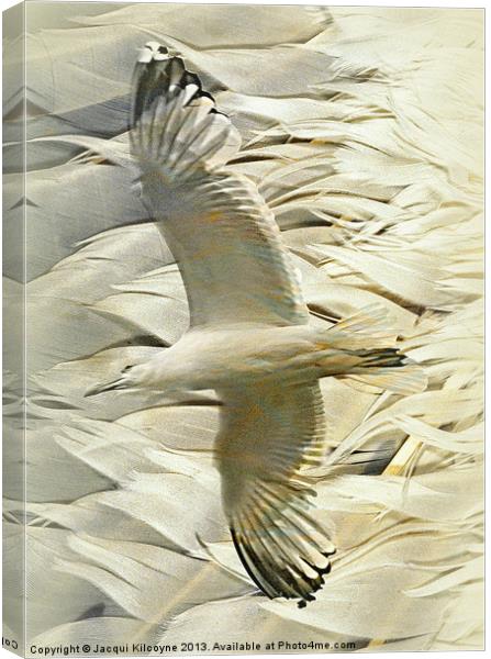 Feathers on Feathers Canvas Print by Jacqui Kilcoyne