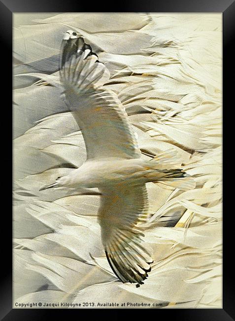 Feathers on Feathers Framed Print by Jacqui Kilcoyne