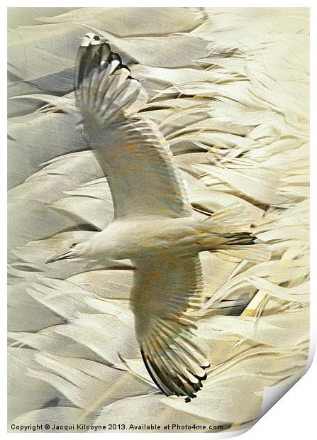 Feathers on Feathers Print by Jacqui Kilcoyne