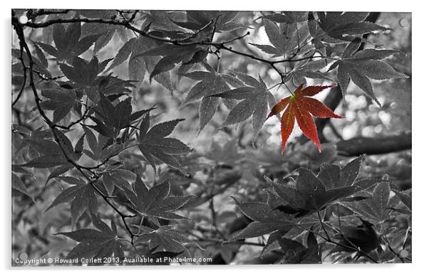 Red Leaf Acrylic by Howard Corlett