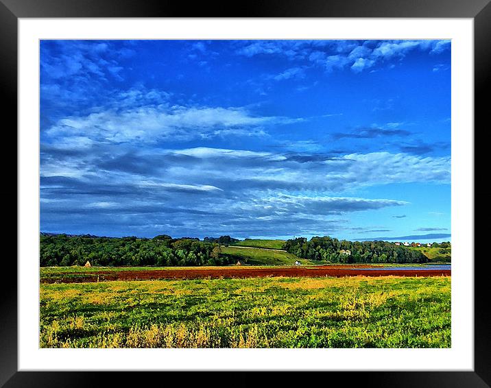 fields Framed Mounted Print by david reece