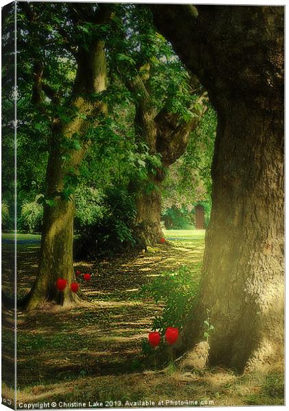 Pathway to Enchantment Canvas Print by Christine Lake