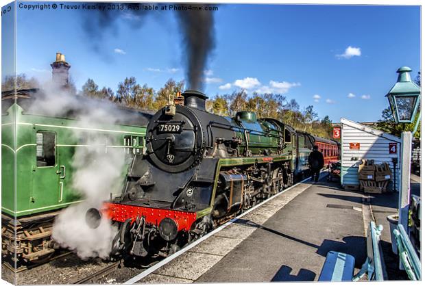 The Green Knight Canvas Print by Trevor Kersley RIP