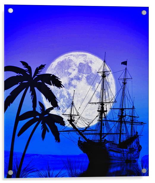 Paradise & Pirates Acrylic by John Ellis