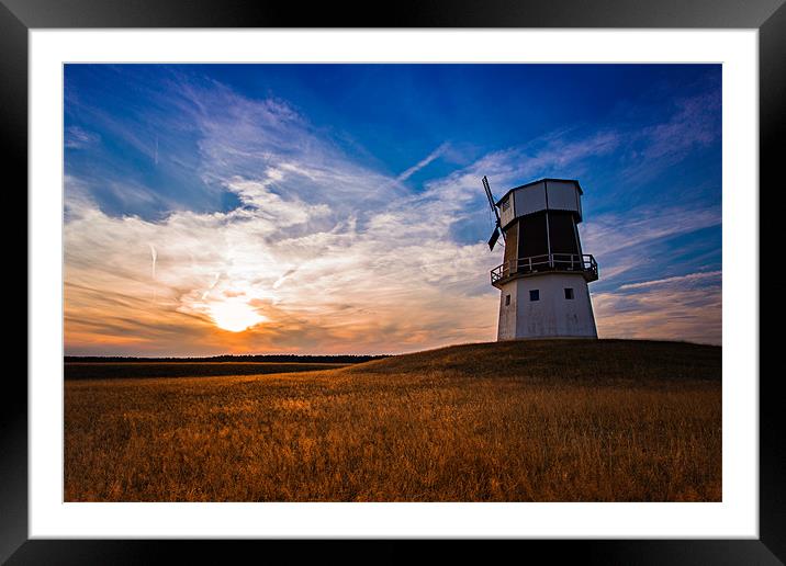Face the sun Framed Mounted Print by Chris Owen