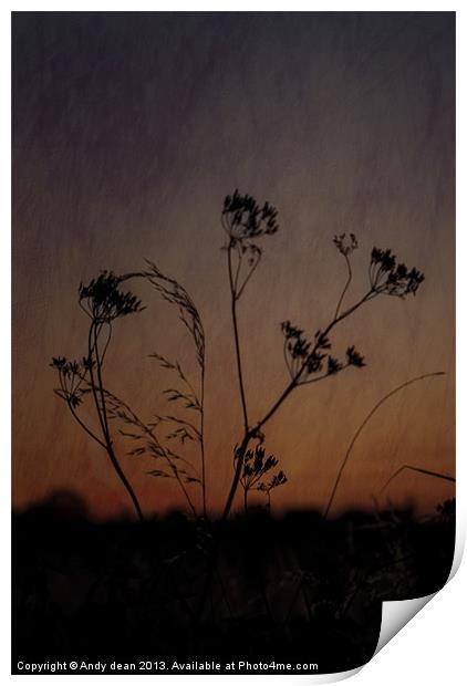 Shadows at sunset Print by Andy dean