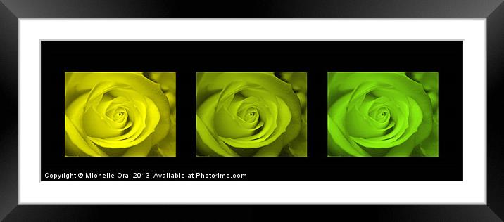 Toned Roses Framed Mounted Print by Michelle Orai