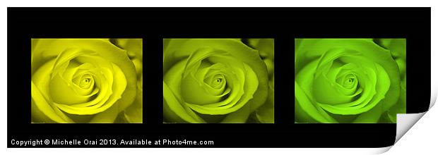 Toned Roses Print by Michelle Orai