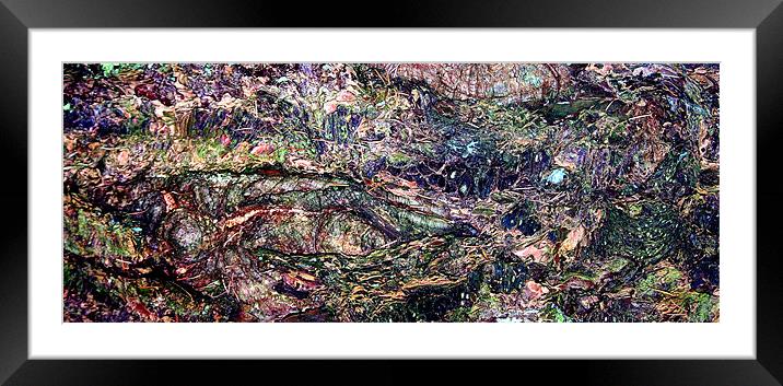 Bark Framed Mounted Print by Stephen Maxwell