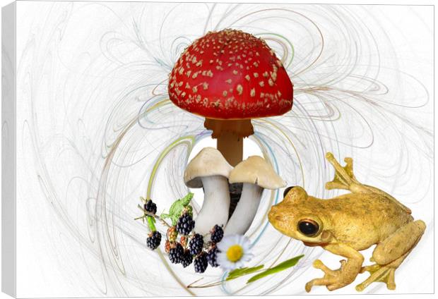 Mr Frog and the Toadstool. Canvas Print by Heather Goodwin