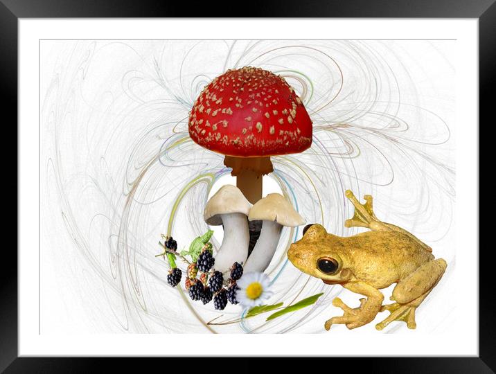 Mr Frog and the Toadstool. Framed Mounted Print by Heather Goodwin