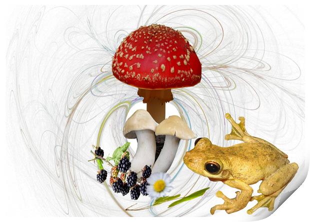 Mr Frog and the Toadstool. Print by Heather Goodwin