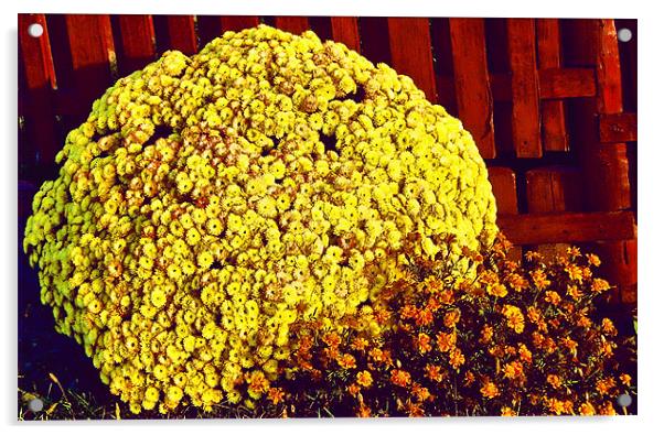 flower bush Acrylic by Erzsebet Bak