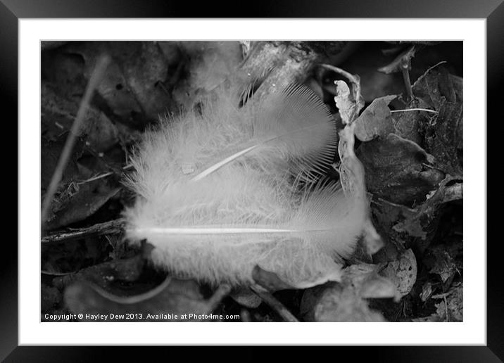 Feathers in the Woods Framed Mounted Print by Hayley Dew
