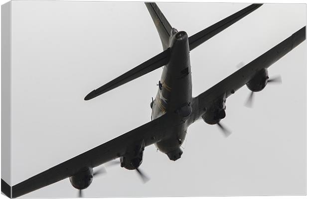 Sally B Canvas Print by J Biggadike