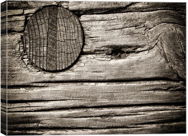 Wooden Nail Canvas Print by Mary Lane