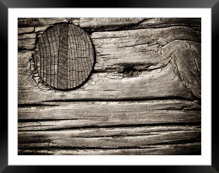 Wooden Nail Framed Mounted Print by Mary Lane