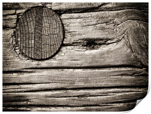 Wooden Nail Print by Mary Lane
