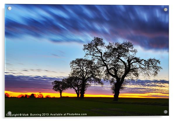 Norfolk Sunset Acrylic by Mark Bunning