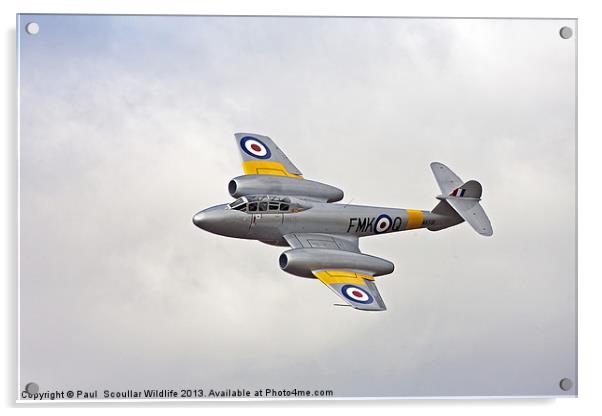 Gloster Meteor T7 Acrylic by Paul Scoullar