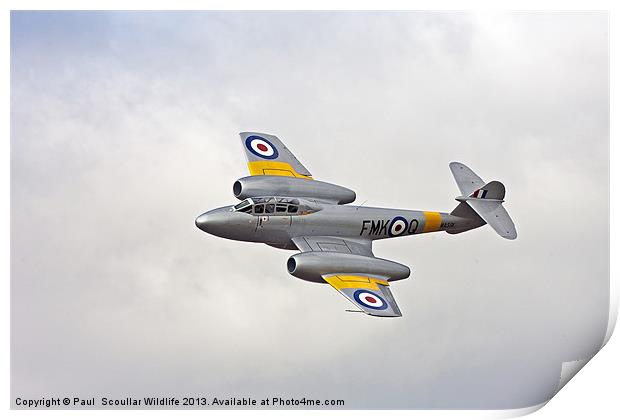 Gloster Meteor T7 Print by Paul Scoullar