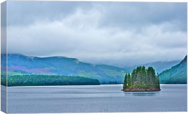 Capmpbell Lake in the Rain Canvas Print by David Davies