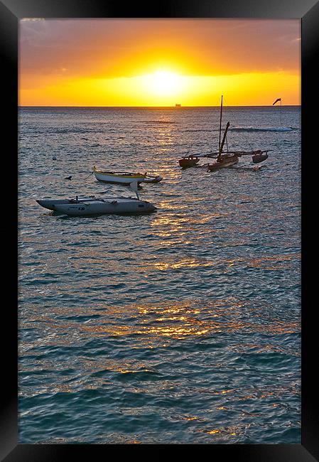 Waikiki Sunset Framed Print by David Davies