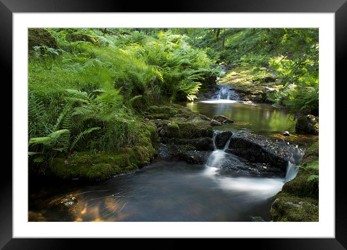 Stepping stones Framed Mounted Print by Steven Dunn-Sims