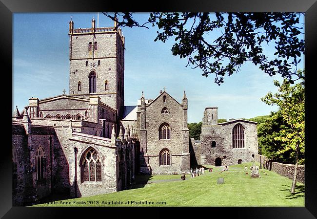 Saint Davids Cathedral Pembrokeshire Wales Framed Print by Carole-Anne Fooks