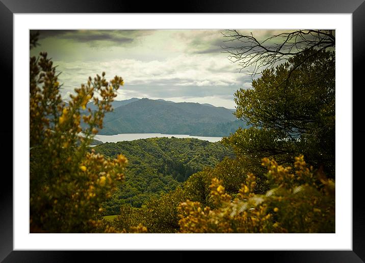 Queen Charlotte Sound, New Zealand Framed Mounted Print by Mark Llewellyn