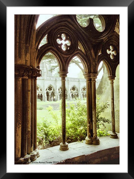 Salisbury Cathedral Cloisters Framed Mounted Print by Carole-Anne Fooks