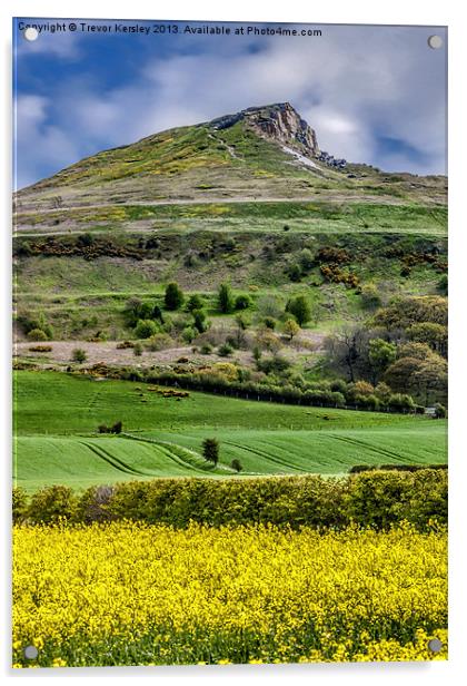 Roseberry Topping Acrylic by Trevor Kersley RIP