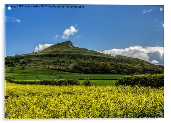 Roseberry Topping Acrylic by Trevor Kersley RIP