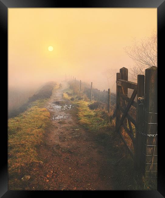Morning sunrise Framed Print by Robert Fielding
