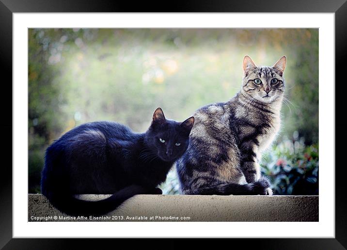 Cats postures Framed Mounted Print by Martine Affre Eisenlohr
