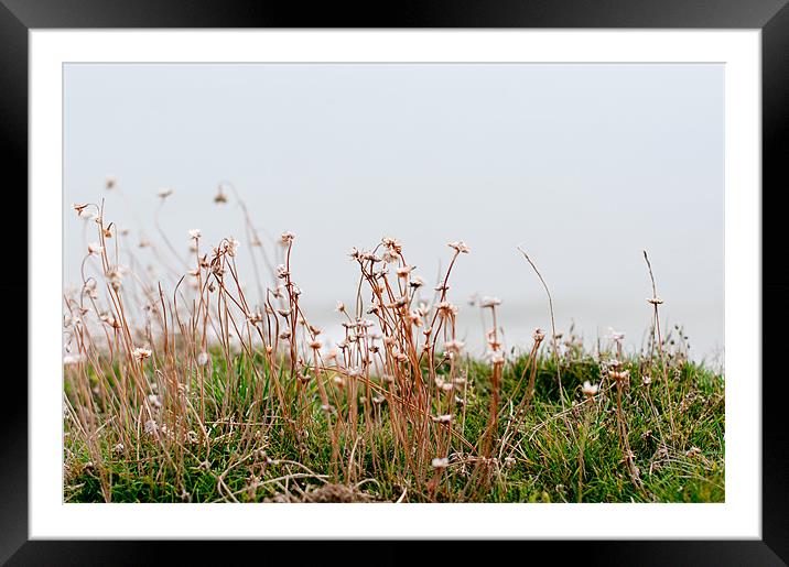 Nature Haze at the Beach Framed Mounted Print by shirley gilks