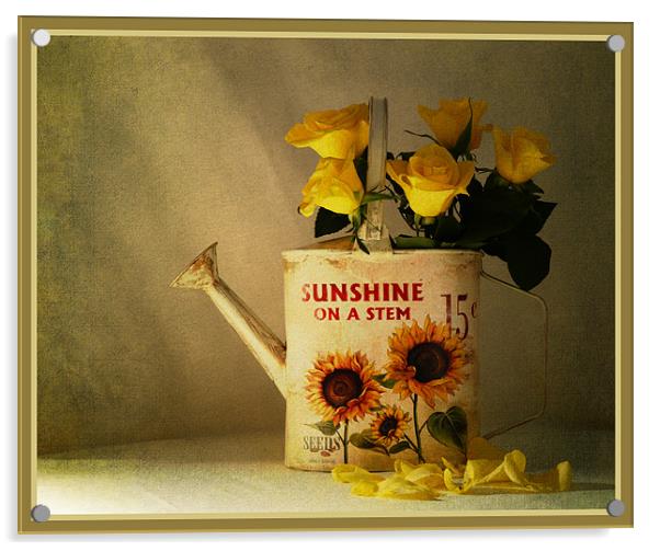 Sunshine Acrylic by Fine art by Rina