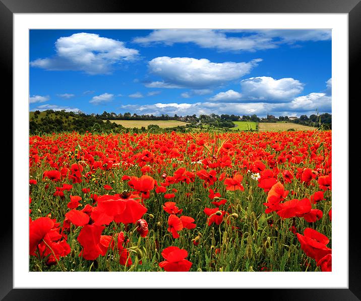 Poppy Field Framed Mounted Print by J Biggadike