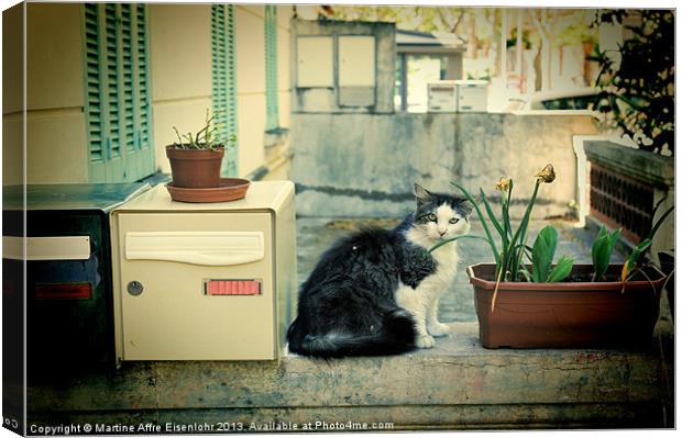 Vintage pussy Canvas Print by Martine Affre Eisenlohr