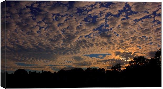 big skys Canvas Print by Dean Messenger