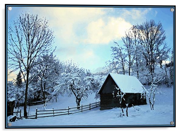 Winter Chalet Acrylic by Ciobanu Razvan