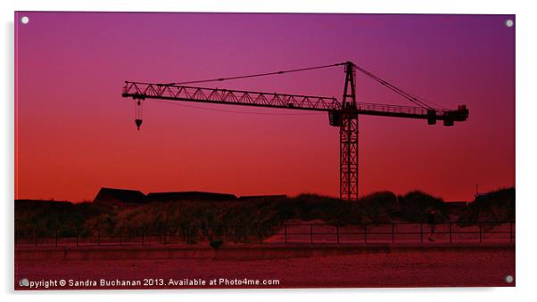 Crane At Sunset Acrylic by Sandra Buchanan